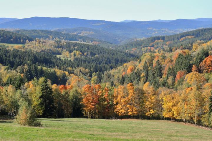 Krajina (Patriam)