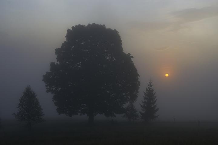 Východ slunce (Ortus)