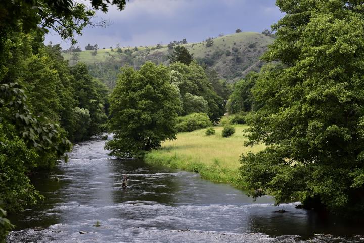 Bouřka (Storm)